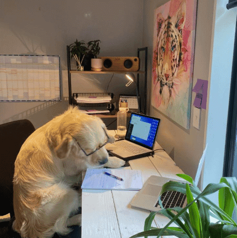 From Santisers to Systems: NZ Law Firms Gear Up For the Lockdown . . And Provide a Galaxy of COVID-19 Resources 3 From Santisers to Systems: NZ Law Firms Gear Up For the Lockdown . . And Provide a Galaxy of COVID-19 Resources 3