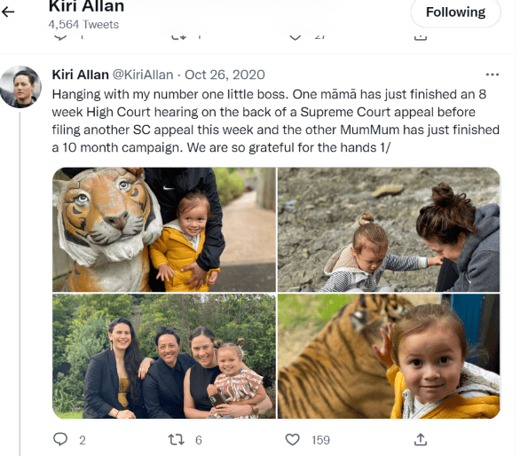 Kiri Allan - The Activist Justice Minister And Her Power Lawyer Connections 5 Kiri Allan - The Activist Justice Minister And Her Power Lawyer Connections 3