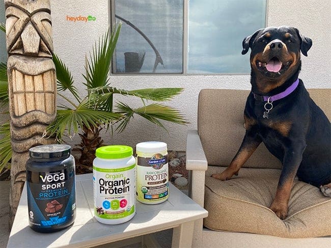 heydayDo's Rottweiler CEO sitting next to 3 vegan protein powders without artificial sweeteners - heydayDo image