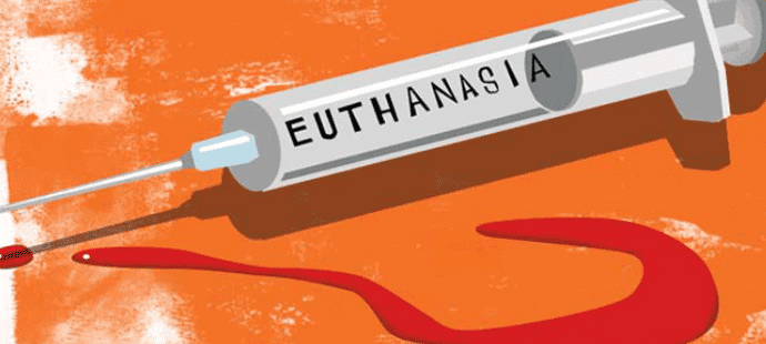 Confusion Reigns Over Euthanasia Law For New Zealanders 9 Confusion Reigns Over Euthanasia Law For New Zealanders 8