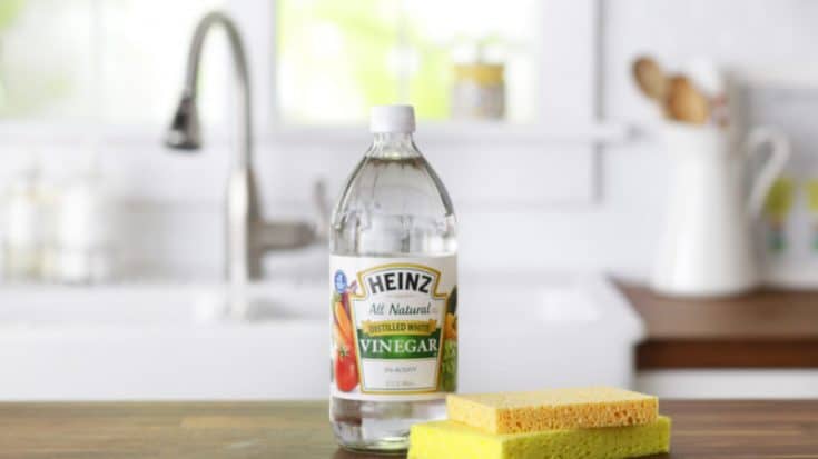 Diy Vinegar Fabric Softener Crafty Little Gnome