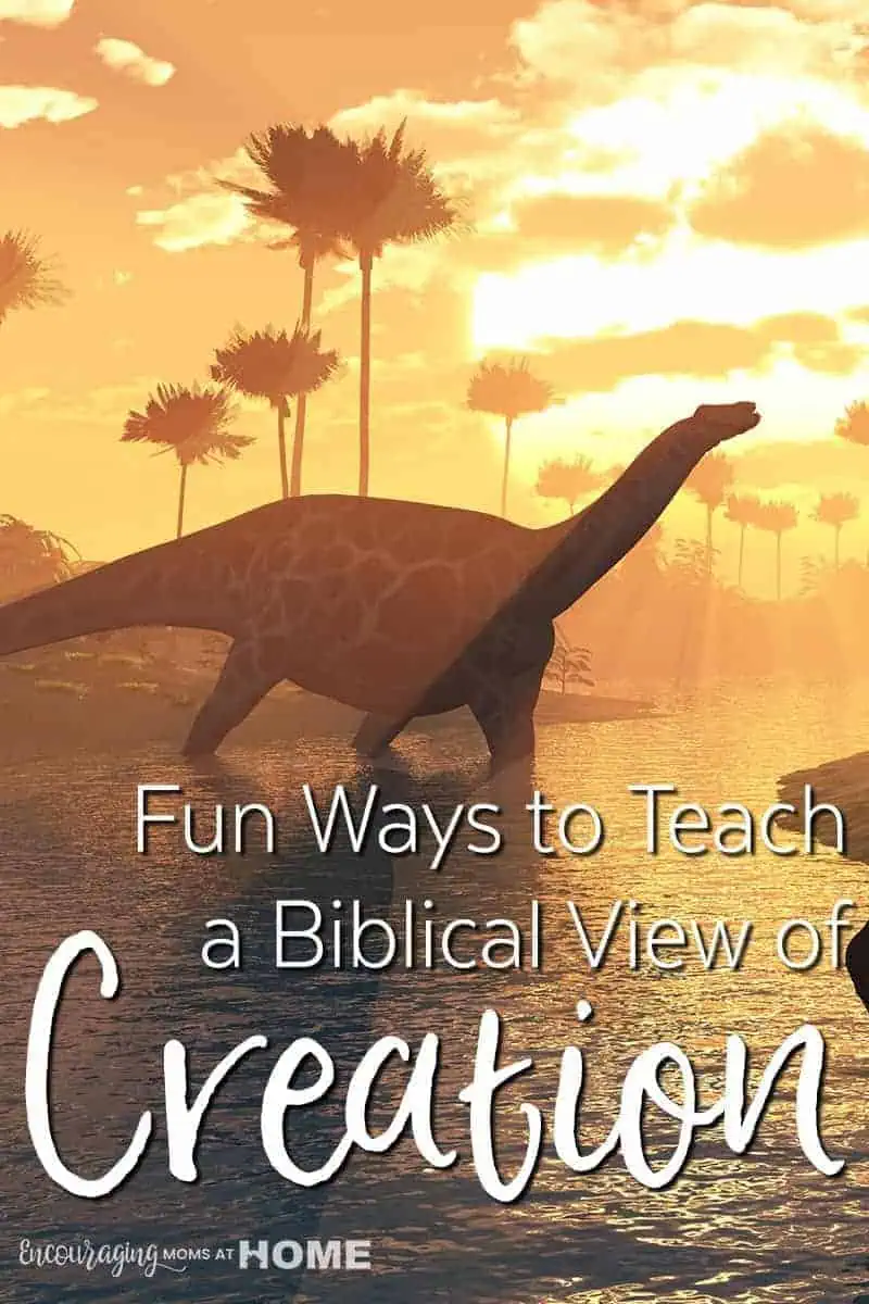 Fun Activities To Teach Kids Creation With A Biblical Worldview - 