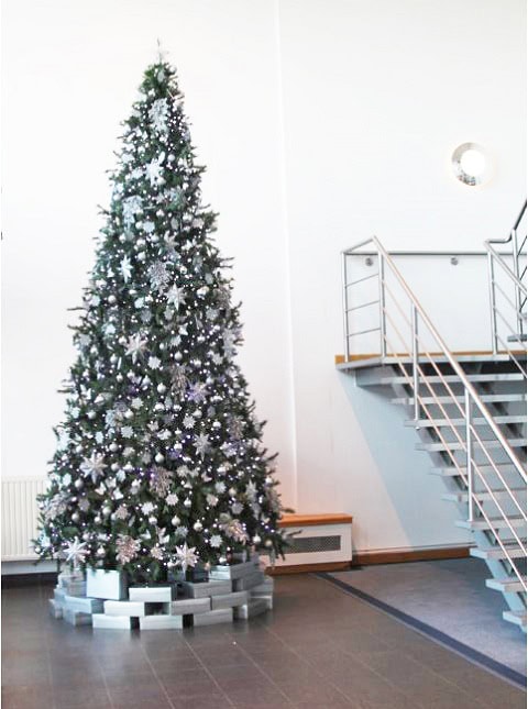 We Offer A Reliable Christmas Tree Hire Service For Your Office In Birmingham We Offer A Reliable Christmas Tree Hire Service For Your Office In Birmingham