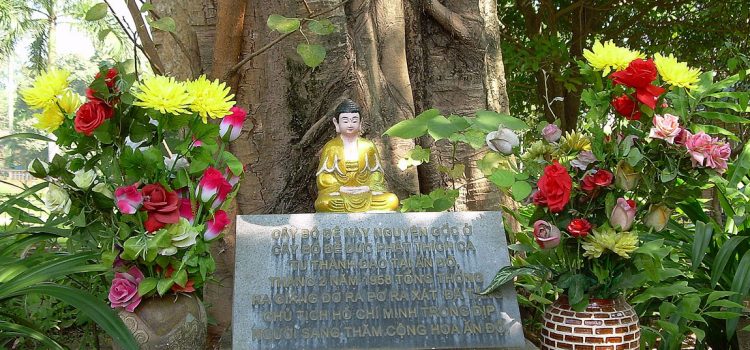 Old Quarter of Hanoi: Buddha in front of Bodhi tree The Old Quarter of Hanoi