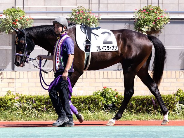 ブレイブライオン出走~2021.10.24新潟6R~