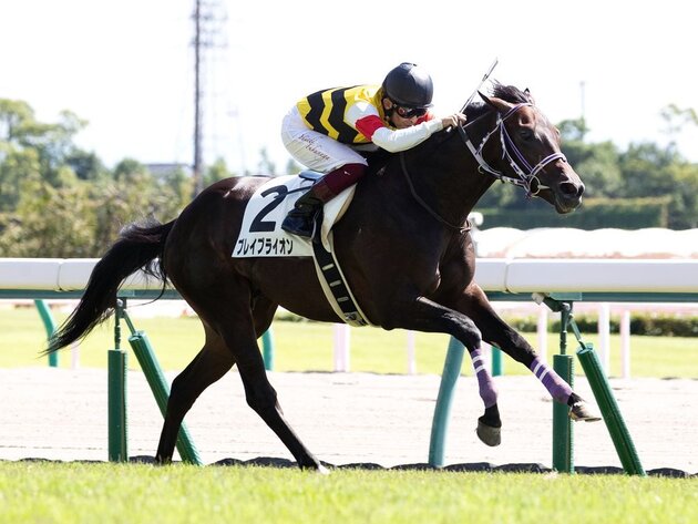 ブレイブライオン1勝C6着~2021.10.24新潟6R~