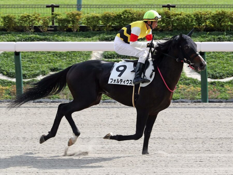 フォルティウス出走確定~2022.02.28名古屋競馬場~