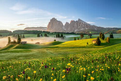 Achim Thomae, Primavera en Seiser Alm (Tirol del Sur - Alemania, Europa)