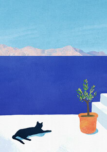 Henry Rivers, Cat Siesta