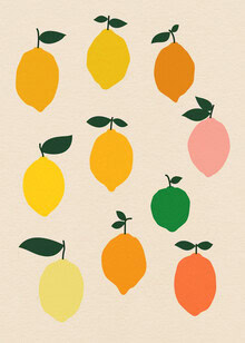 Rosi Feist, Dieci Limoni
