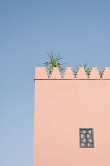 Photolovers ., Fenêtre, Mur, Plante