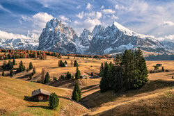 Achim Thomae, Couleurs d'automne sur l'Alpe di Siusi dans le Tyrol du Sud