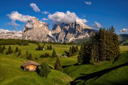 Achim Thomae, Estate sull'Alpe di Siusi in Alto Adige