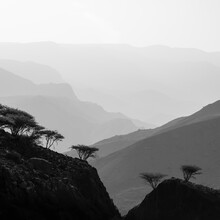 Christian Janik, Jabal Al Akhdar - Oman, Azië)