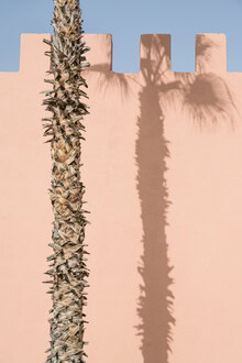 Fotoliefhebbers., Schaduw van een palmboom in Marrakesh in Marokko