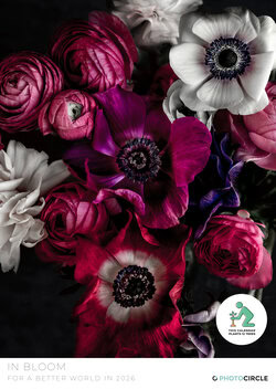  2026 In Bloom flower calendar – artistic floral photography as sustainable wall calendar gift