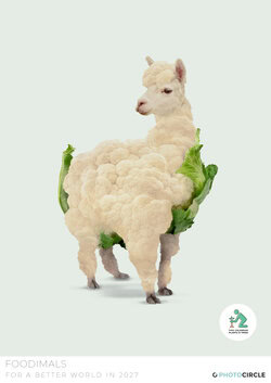 Foodimals 2027 wall calendar with funny animal-food mashups – sustainable gift that plants 12 trees