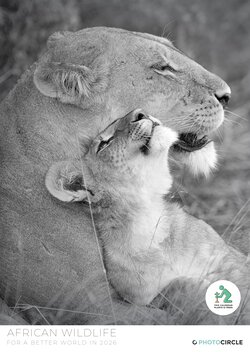African Wildlife Calendar & Planner 2026 with black & white animal portraits by Dennis Wehrmann – sustainable gift for wildlife lovers