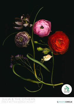 Kalender „Julia & the Others“ mit kunstvollen Stillleben aus Blumen und Blumensträußen in stimmungsvoller, eleganter Präsentation.