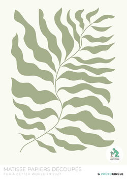 Henri Matisse wall calendar 2027 with his famous paper cut outs