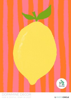 Colorful dopamine decor calendar 2027 with playful interior illustrations by Studio Dolci.