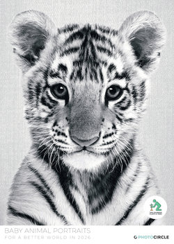 Baby Tierportraits Kalender 2026 – süße Tierfotos für Kinderzimmer und als Geschenk für kleine Tierfans