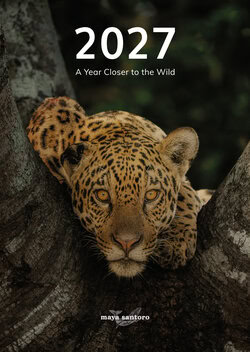 A Year Closer to the Wild Calendar 2027 by Maya Santoro featuring wildlife and nature photography