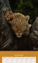 A Year Closer to the Wild Planner and Wall Calendar 2027 by Maya Santoro featuring wildlife photography