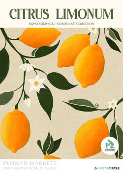 Flower Markets Calendar 2026 with colorful floral illustrations – a sustainable gift