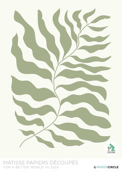  Pastel wall calendar with paper cut art inspired by Henri Matisse – stylish and sustainable