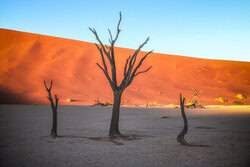 Jean Claude Castor, Namibia Deadvlei Erstes Licht - Namibia, Afrika)