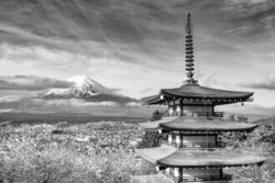 Melanie Viola, Grandioser Blick zum Fuji mit Chureito Pagode zur Kirschblüte - Japan, Asien)