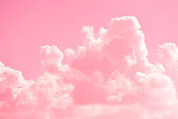 Tal Paz-fridman, Cloudy with a touch of Pink