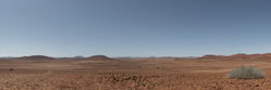 Dennis Wehrmann, Palmwag Concession - semi arid desert - Namibia, Afrika)