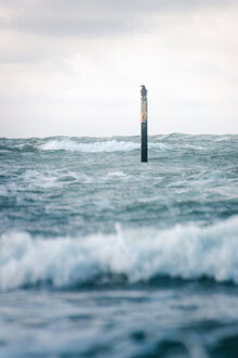 Nils Steiner, Sturm an der Ostsee - Deutschland, Europa)