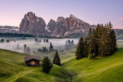 Achim Thomae, Morgennebel auf der Seiser Alm in Südtirol - Italien, Europa)
