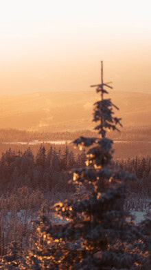 Johannes Hulsch, Golden Sunset at the Brocken Mountain