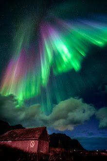Achim Thomae, Northern Lights on Lofoten Islands Norway - Norway, Europe)