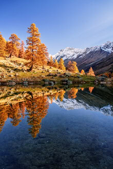 Achim Thomae, Herbst im Lötschental Schweiz - Schweiz, Europa)