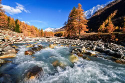 Achim Thomae, Herbst im Lötschental Schweiz - Schweiz, Europa)