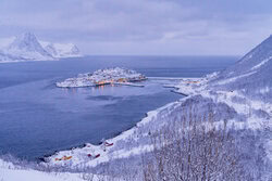 Eva Stadler, Husøy auf Senja, Nordnorwegen - Norwegen, Europa)