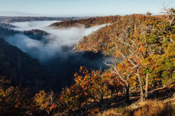 Maximilian Fischer, Herbstnebel im Bodetal - Deutschland, Europa)