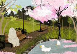 Illustration von Katherine Blower: Enten am Teich im Frühling, umgeben von blühenden Pflanzen.