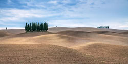 Photo art by Achim Thomae: autumn cypress trees in Tuscany