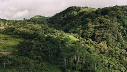 Photo art: Sun rays filtering through the jungle in Camiguin, Philippines