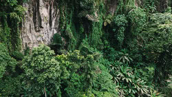Photo art by Christian Seidenberg: cliffs in the jungle landscape of Camiguin, Philippines