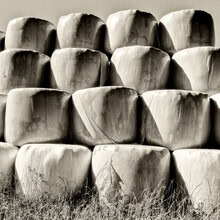 Fotokunst von J. Daniel Hunger: Landschaft mit Silageballen in sanften Hügeln.
