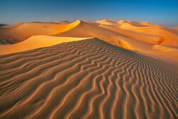 Wall art by Achim Thomae: endless sand dunes of the Rub al Khali, warm light and soft patterns