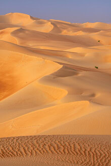 Wall art by Achim Thomae: Rub al Khali sand dunes in morning light