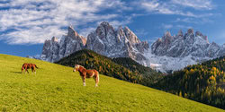 Poster von Achim Thomae: Farbige Herbstlandschaft mit Lärchen in Südtirol